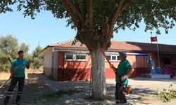 Efeler'in yeşil ekipleri