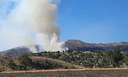 Ankara Çubuk'ta orman yangını