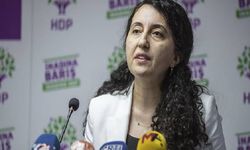 HDP'li Günay: Barışçıl bir çözümün yeri Meclis'tir