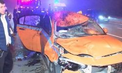 İstanbul'da taksinin çarptığı at öldü