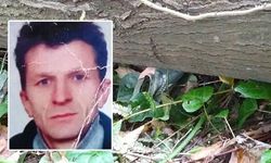Kestiği ağacın altında kalarak hayatını kaybetti