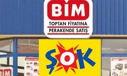 BİM ve ŞOK'un pandemi dönemindeki karı zincir marketleri geçti