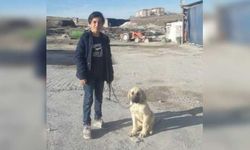 Köpeklerin saldırısında yaralanan Enes, hayati tehlikeyi atlattı