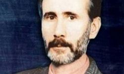 Tolga Şardan yazdı: 'Yeşil' en son nerede, kiminle görüldü?