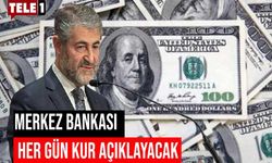 Hazine ve Maliye Bakanlığı mevduat, faiz ve dolar sisteminin nasıl işleyeceğini açıkladı