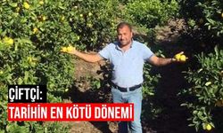Bedavaya bile alıcı çıkmadı! 450 ton limon elinde kaldı