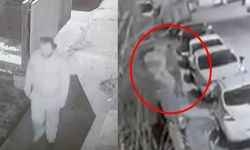 Cani adam kediyi yere vurarak öldürdü!