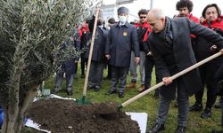 Çanakkale’ye giden bisikletçilerin getirdikleri toprakla zeytin ağacı dikildi