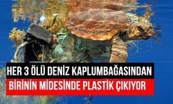 Plastik atıklar deniz kaplumbağalarını öldürüyor!