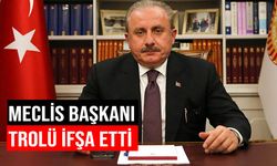 Trolle, Meclis Başkanı sosyal medyada birbirine girdi