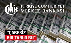 Merkez Bankası'ndan firmalara 'döviz satın' ricası