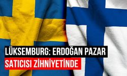 Almanya'dan İsveç ve Finlandiya açıklaması: Türkiye'yi ikna edeceğiz