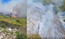 Dikili ve Karaburun’daki yangınlar kontol altına alındı