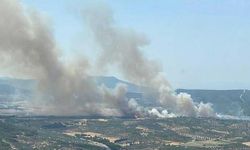 İzmir'de orman yangını!