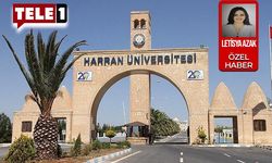 Harran Üniversitesi'nde taciz iddiasına soruşturma