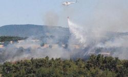 Çanakkale'de yangın!
