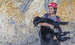 Çukura düşen keçiyi itfaiye kurtardı