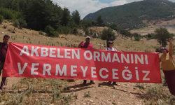 Akbelen Ormanı’na üçüncü keşif kararı tepkisi! “Muğla eski ve kirli santrallere muhtaç değil”