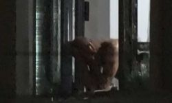 Boşanma aşamasındaki koca, sinir krizi geçirince biber gazıyla durduruldu