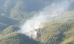 Muğla'da orman yangını söndürüldü