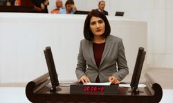 HDP'li Semra Güzel'in hakim karşısına çıkacağı tarih belli oldu