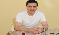 Selahattin Demirtaş AKP-HDP görüşmesini yazdı: Öküz altında buzağı aramaya gerek yok