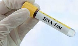 DNA testi yaptıran kadın kızının dayısı çıktı