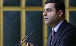 Demirtaş: AFAD Başkanı IBAN telaşına düşeceğine gönüllüleri organize etmeliydi