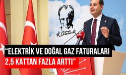 2022'nin zam şampiyonu elektrik ve doğalgaz faturaları