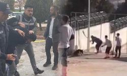 Köpeği kürekle öldüren canilere hapis cezası istemiyle hazırlanan iddianame kabul edildi