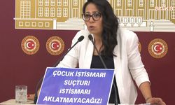 Kadıgil'den 'siyaset üstü' açıklamasına yanıt: Mesele tam da sizin siyasetinizin ürünü