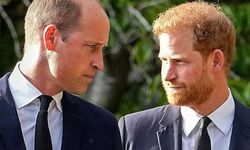 Prens Harry'den Prens William'a 'şiddet' suçlaması