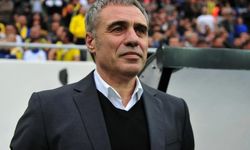 Ersun Yanal Süper Lig'e geri döndü