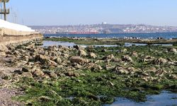 Marmara Denizi çekildi! Peş peşe açıklama geldi