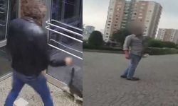 Serbest bırakılan kedi düşmanı savcılığın itirazı üzerine tutuklandı