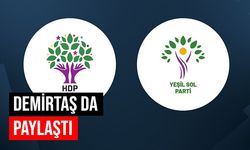 Yeşil Sol Parti'den HDP sorusuna yanıt! "Boynumuzu iktidarın vereceği karara uzatmayacağız"