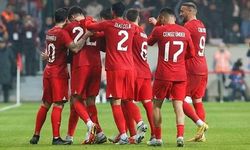 Galatasaraylı futbolcu A Milli Takım kadrosundan çıkarıldı
