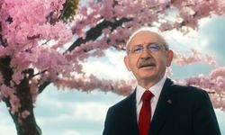 "Mavi tik"i alınan Kılıçdaroğlu'na Twitter'dan "gri tik"