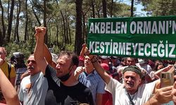 Akbelen'de 'yürütmeyi durdurma' talebini mahkeme yine reddetti