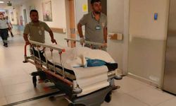 Tarlada uyuyan 4 yaşındaki çocuğu kamyonet ezdi!