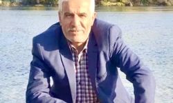 Arının soktuğu yaşlı adam öldü