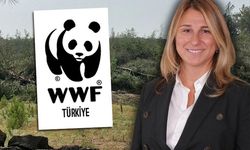 WWF-Türkiye günah çıkardı! Limak yöneticisi tepkilerin ardından üyelikten çıkarıldı