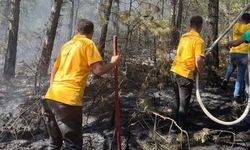 Kastamonu'da yıldırım orman yangınına neden oldu!