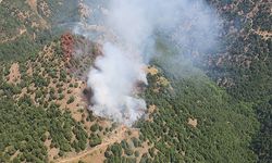 Manisa’da 3 günde ikinci orman yangını