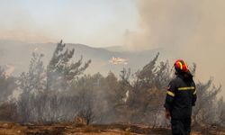 Savcılık Rodos Adası'ndaki yangınla ilgili inceleme başlattı