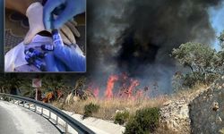 Muğla'da ormanı torpille kundaklamışlar!