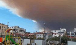 Hatay'daki orman yangınında ikinci gün! Yerleşim yerleri tahliye edildi