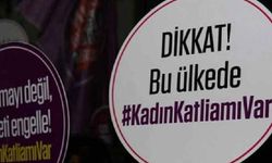 2023’ün ilk 7 ayında 227 kadın katledildi!