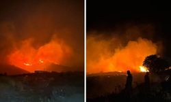 Marmara Adası'ndaki yangın kontrol altına alındı