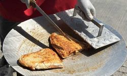 Adana'da güneşte tost yaptılar! "Herkes bu memleketin sıcağını görsün, yandık”